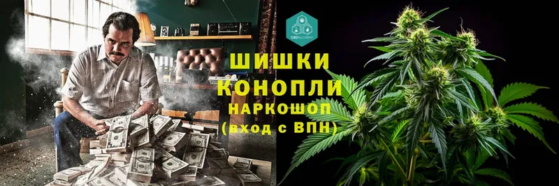 Бошки Шишки Bruce Banner  продажа наркотиков  Королёв 